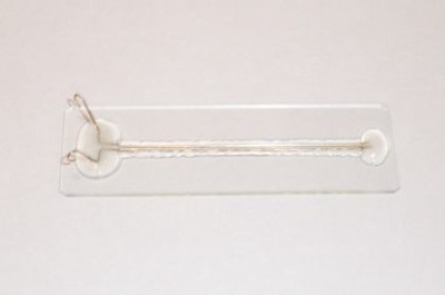 cuy500g1.jpg