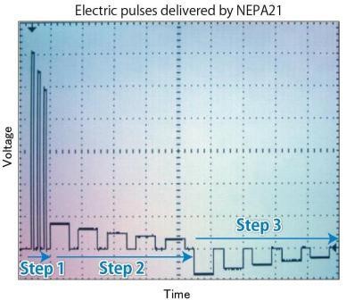 3-step-pulse.jpg