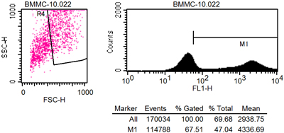 bmmc c