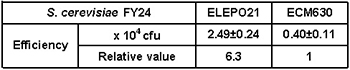 yest comparison